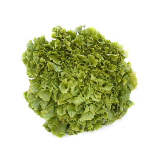 Endiviensalat