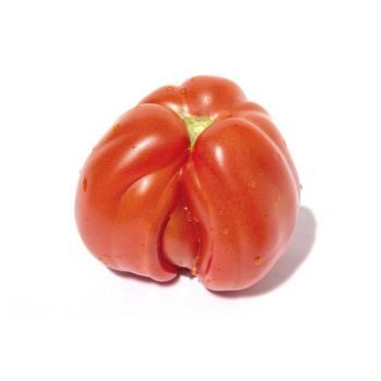 Fleischtomaten 
