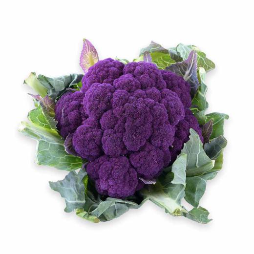 Karfiol violett