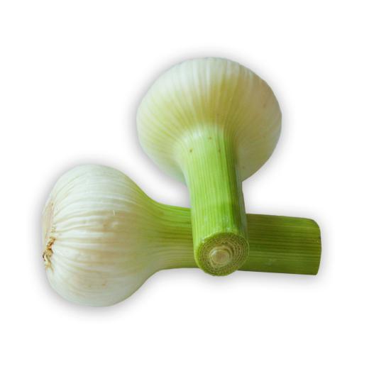 Knoblauch frisch