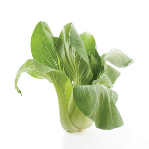 Pak Choi St&uuml;ck