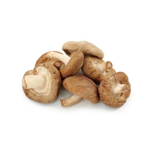 Pilze "Shiitake" Biohof Achleitner