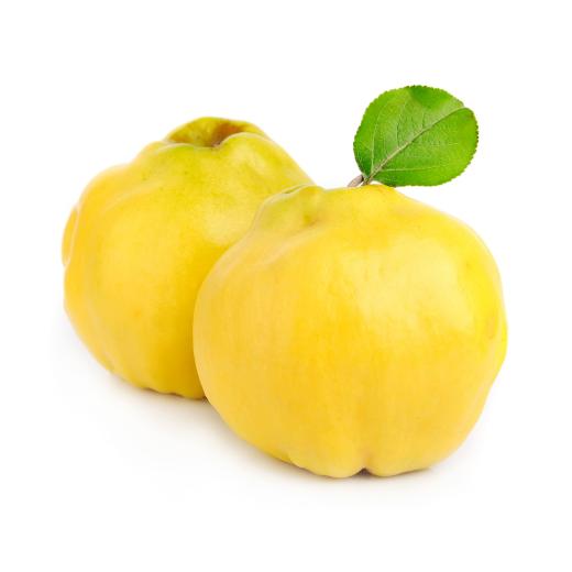 Quitten