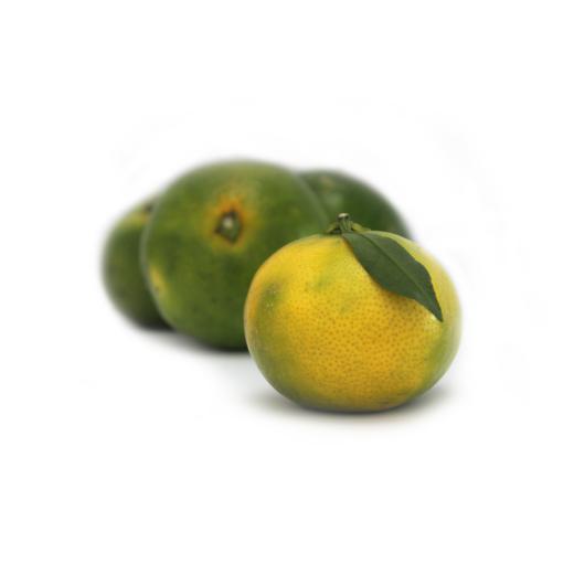 Satsumas grünschalig