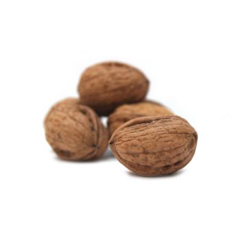 Walnüsse