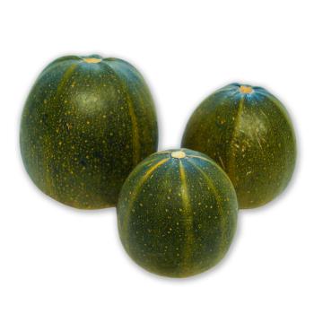 Zucchini rund