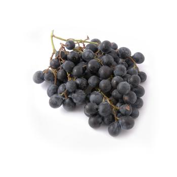Trauben blau Muskat Bleu 400g