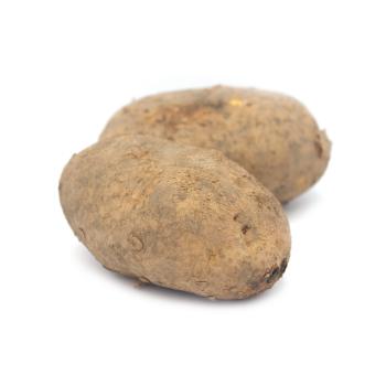 Ofenkartoffel "Agria"