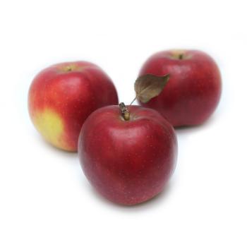 Apfel "Crimson Crisp"