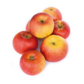 Apfel "Zari"