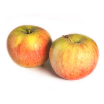 Apfel "Freiherr - Early Topaz"