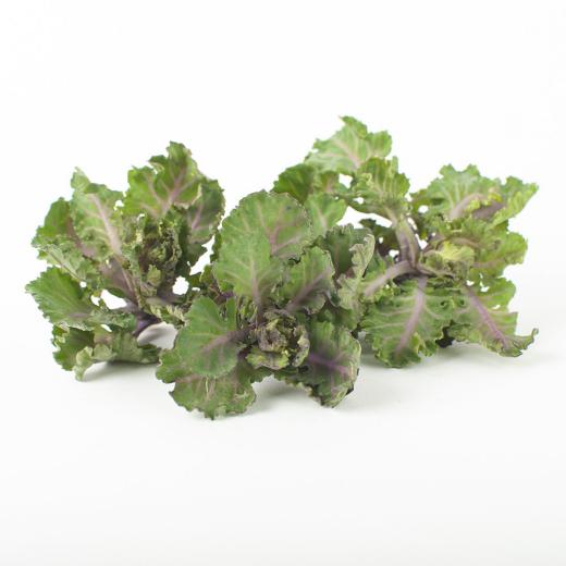 Kohlsprossen "Flower Sprout"