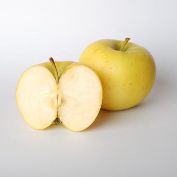 Apfel "Sonnenglanz" 