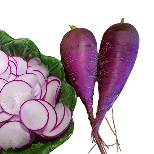 Rettich Rarität 'Blauer Herbst & Winter'
