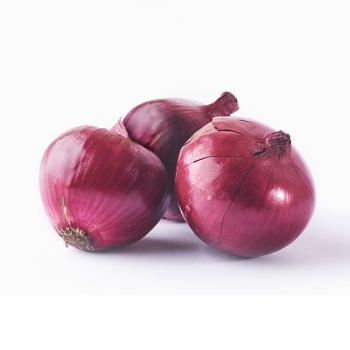 Einlagerungszwiebel rot