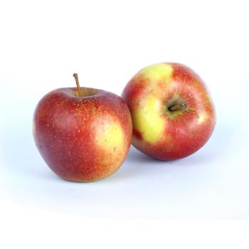 Apfel "Elise" (Allergikerapfel)