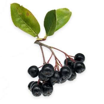 Aroniabeeren 125g