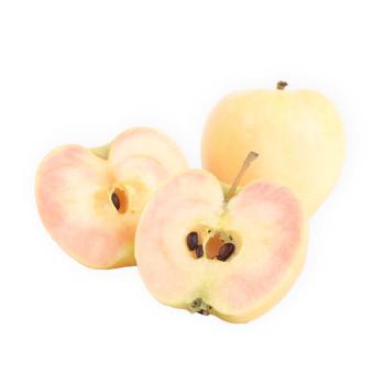 Apfel "Sunburst" rosafleischig