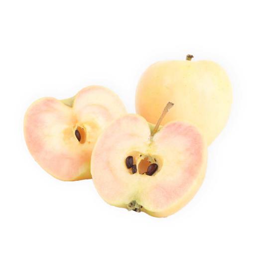 Apfel "Sunburst" rosafleischig