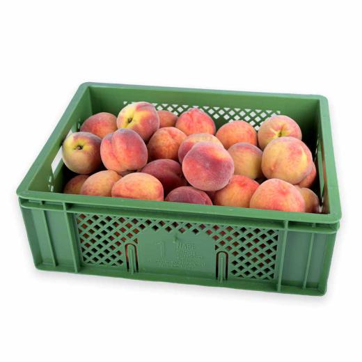 Pfirsiche zum Einkochen 6KG