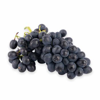 Trauben blau kernlos Attika 250g