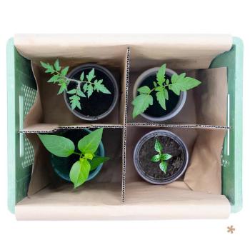 Balkon-Gem&uuml;se-Mix