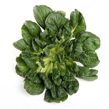 Tatsoi