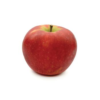 Apfel "Elstar"