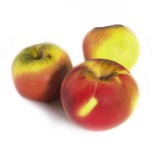 Apfel "Kronprinz Rudolf"