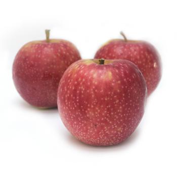 Apfel "Summerred" 
