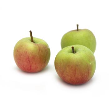 Apfel "James Grieve" 