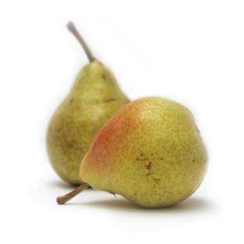 Birne "Guyot"