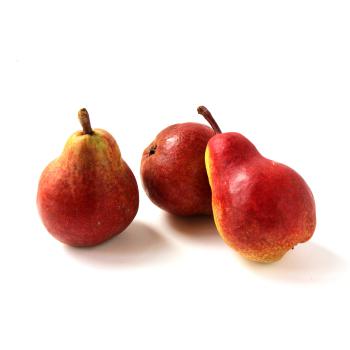 Birne Williams rot "Red Bartlett"