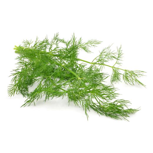 Dill Bund